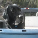 website pic of Chase